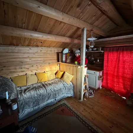 Escapade Norvegienne * Tolga