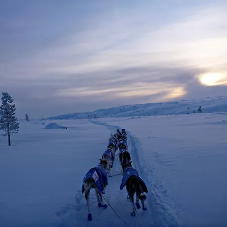 Escapade Norvegienne *