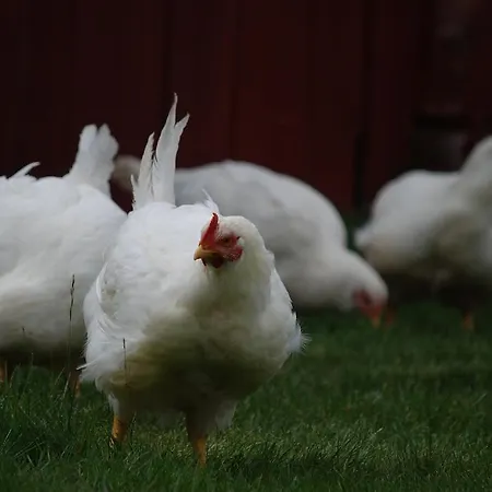 Escapade Norvegienne Séjour chez l'habitant *