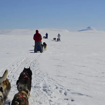 Escapade Norvegienne منزل للإقامة *