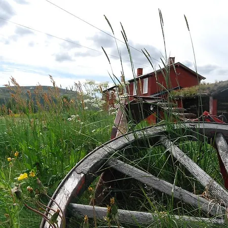 Escapade Norvegienne Homestay Tolga
