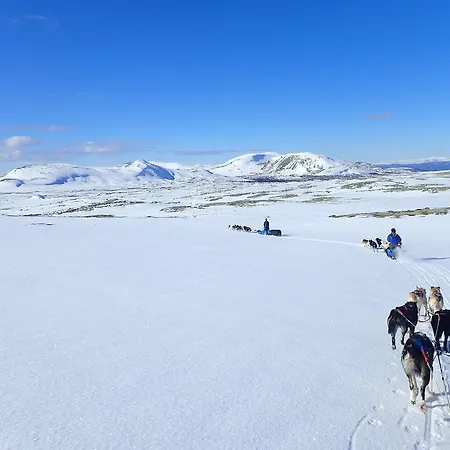 منزل للإقامة Escapade Norvegienne *