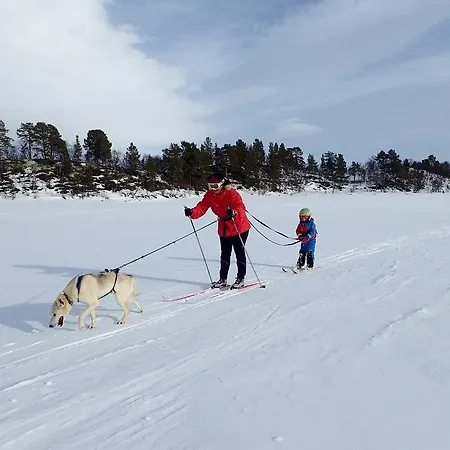 منزل للإقامة Escapade Norvegienne Tolga