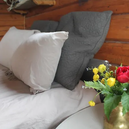 Escapade Norvegienne * Tolga