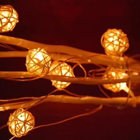 Escapade Norvegienne בית אירוח Tolga