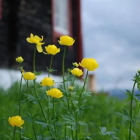 Escapade Norvegienne Tolga