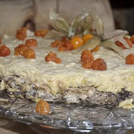 Escapade Norvegienne בית אירוח Tolga